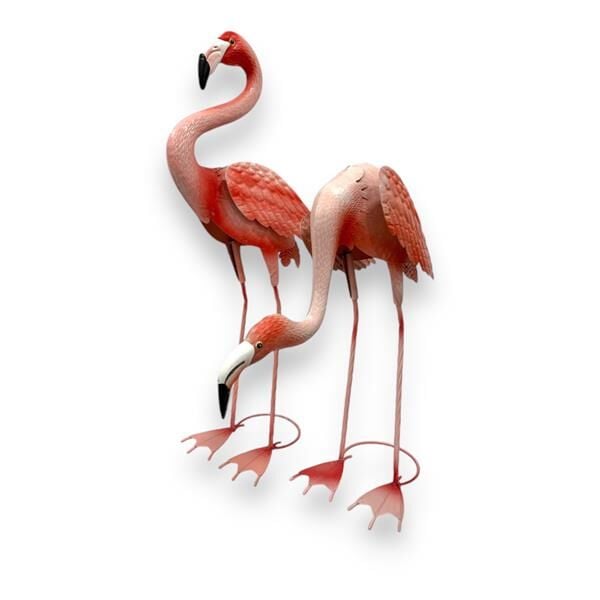 İkili Flamingo Biblo